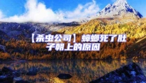 【殺蟲公司】蟑螂死了肚子朝上的原因