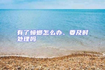 有了蟑螂怎么辦、要及時(shí)處理嗎