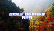 白蟻防治 白蟻和螞蟻如何辨別