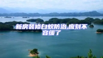 新房裝修白蟻防治,應刻不容緩了