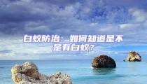 白蟻防治:如何知道是不是有白蟻?