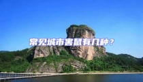 常見城市害鼠有幾種?