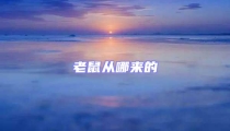 老鼠從哪來的