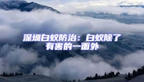 深圳白蟻防治:白蟻除了有害的一面外