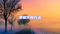 掌握滅蟑方法