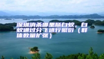 深圳消殺哪里脎白蟻,白蟻通過分飛進(jìn)行繁衍(群體數(shù)量擴(kuò)張)