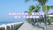 深圳白蟻防治:夏日白蟻猖狂 滅殺需除根