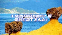 千足蟲(馬陸)有毒嗎?要是被它蟄了怎么辦?