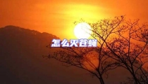 怎么滅蒼蠅