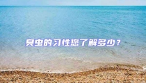 臭蟲(chóng)的習(xí)性您了解多少?