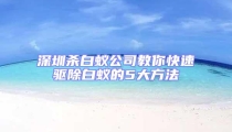 深圳殺白蟻公司教你快速驅除白蟻的5大方法