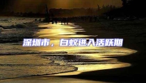 深圳市,白蟻進入活躍期