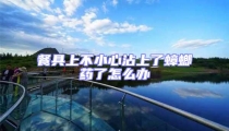 餐具上不小心沾上了蟑螂藥了怎么辦