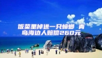飯菜里掉進一只蟑螂 青島海邊人賠償260元
