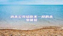 消殺公司給你不一樣的殺蟲體驗