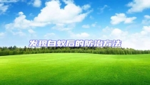 發現白蟻后的防治方法