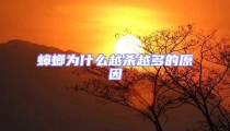 蟑螂為什么越殺越多的原因