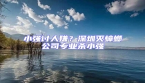 小強(qiáng)討人嫌?深圳滅蟑螂公司專(zhuān)業(yè)殺小強(qiáng)