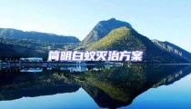 簡明白蟻滅治方案