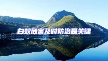 白蟻危害及時防治是關鍵