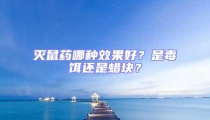 滅鼠藥哪種效果好?是毒餌還是蠟塊?