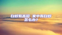 白蟻有高招 家中有白蟻怎么辦?