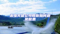 殺蟲滅鼠公司教你如何避免鼠患