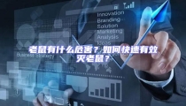 老鼠有什么危害?如何快速有效滅老鼠?
