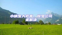 小螨蟲大危害,除蟲公司來解決