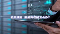 老鼠致害 家里有老鼠怎么辦?