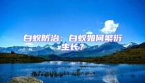 白蟻防治:白蟻如何繁衍生長?