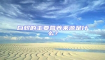 白蟻的主要營養來源是什么?