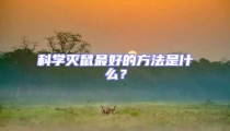 科學滅鼠最好的方法是什么?