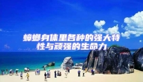 蟑螂身體里各種的強(qiáng)大特性與頑強(qiáng)的生命力