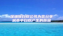 深圳除白蟻公司為您分享城市中白蟻產(chǎn)生的原因