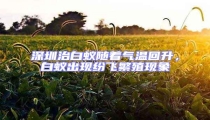 深圳治白蟻隨著氣溫回升,白蟻出現紛飛繁殖現象