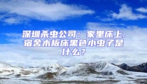 深圳殺蟲公司:家里床上.宿舍木板床黑色小蟲子是什么?