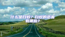 什么是白蟻?白蟻的危害有哪些?