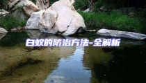 白蟻的防治方法-全解析