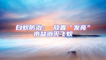 白蟻防治: 放置“發(fā)亮”水盆消滅飛蟻