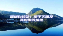 深圳白蟻站:屋子下面及其周圍的垃圾