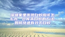 深圳家里發(fā)現(xiàn)白蟻應(yīng)該怎么辦,倉(cāng)庫(kù)殺白蟻的方法,如何快速有效滅白蟻