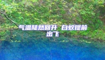 氣溫陡然回升 白蟻提前出飛