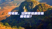 滅老鼠,空調(diào)管道最容易藏老鼠?