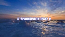 《冬季除蟻正當時》