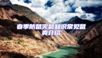 春季防鼠滅鼠知識常見鼠類介紹