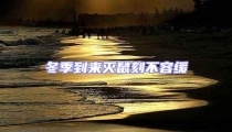 冬季到來(lái)滅鼠刻不容緩