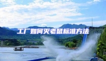 工廠如何滅老鼠標準方法