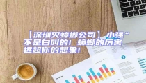 【深圳滅蟑螂公司】小強”不是白叫的! 蟑螂的厲害遠超你的想象!