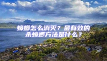 蟑螂怎么消滅?最有效的殺蟑螂方法是什么?